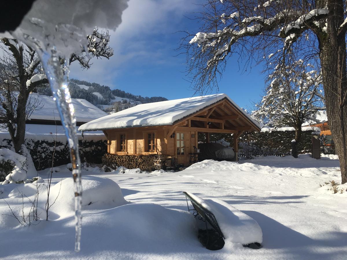 סן-ג'רבה-לה-באן Chalet L'Aiglon מראה חיצוני תמונה